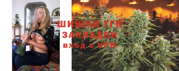 ПСИЛОЦИБИНОВЫЕ ГРИБЫ Алексеевка