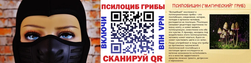 Галлюциногенные грибы MAGIC MUSHROOMS  как найти   Починок 